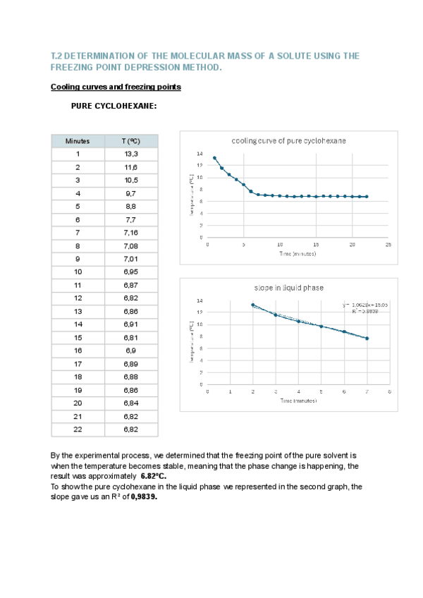 Miniatura del documento T2-reporte-lab.pdf