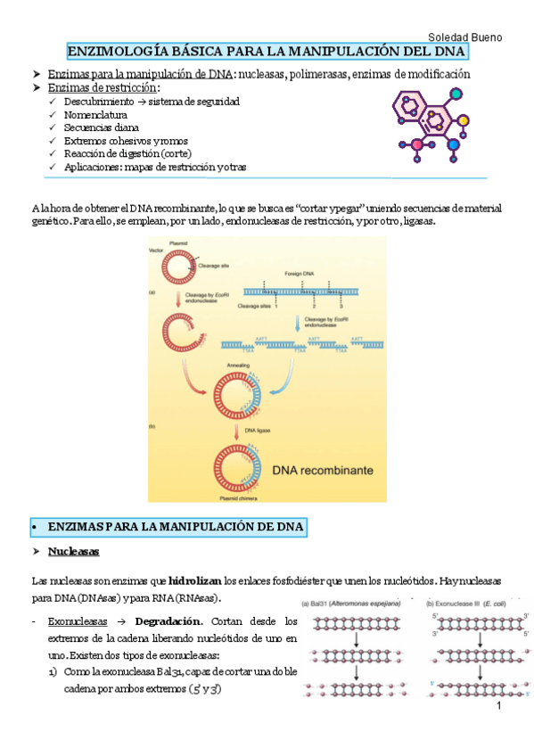 Miniatura del documento TEMA-3-IG.pdf