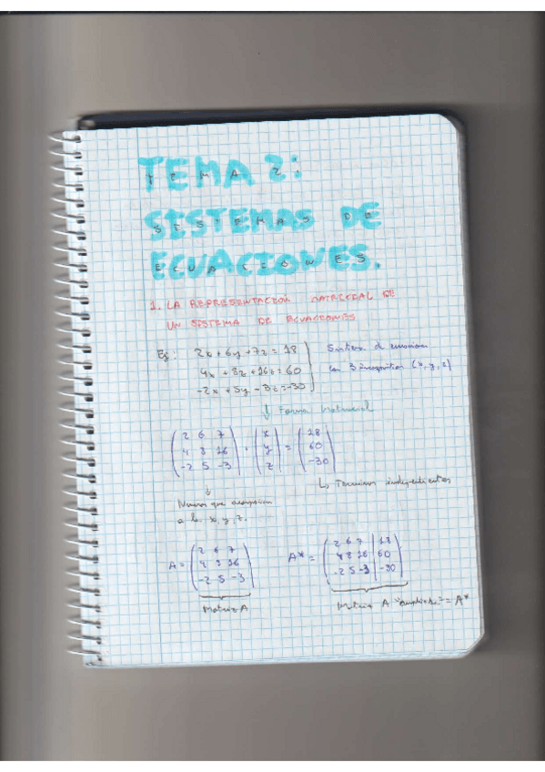 Miniatura del documento TEMA-2-SISTEMAS-DE-ECUACIONES.pdf