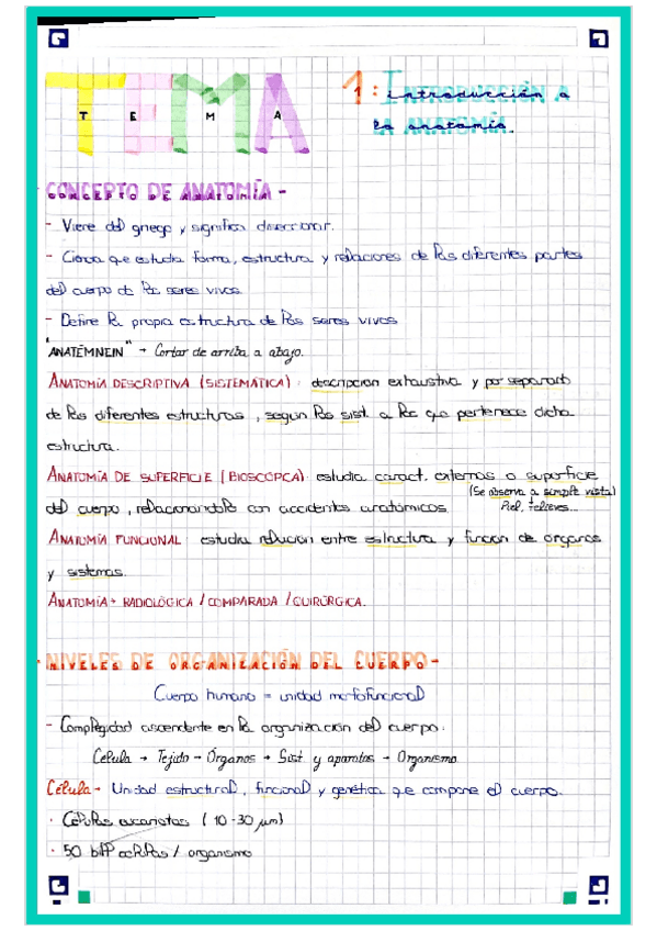 Miniatura del documento ANATOMIAT1-INTRODUCCION-A-LA-ANATOMIA.pdf
