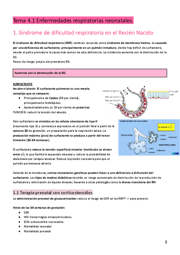 Miniatura del documento Tema-4.1-infantil-Enfermedades-respiratorias-neonatales-1.pdf