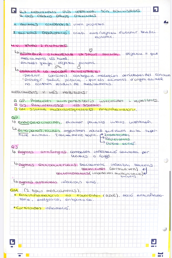 Miniatura del documento IMG8678.jpg