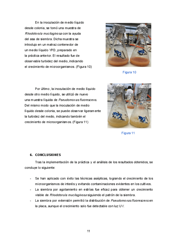 Miniatura del documento P3-parte-3.pdf