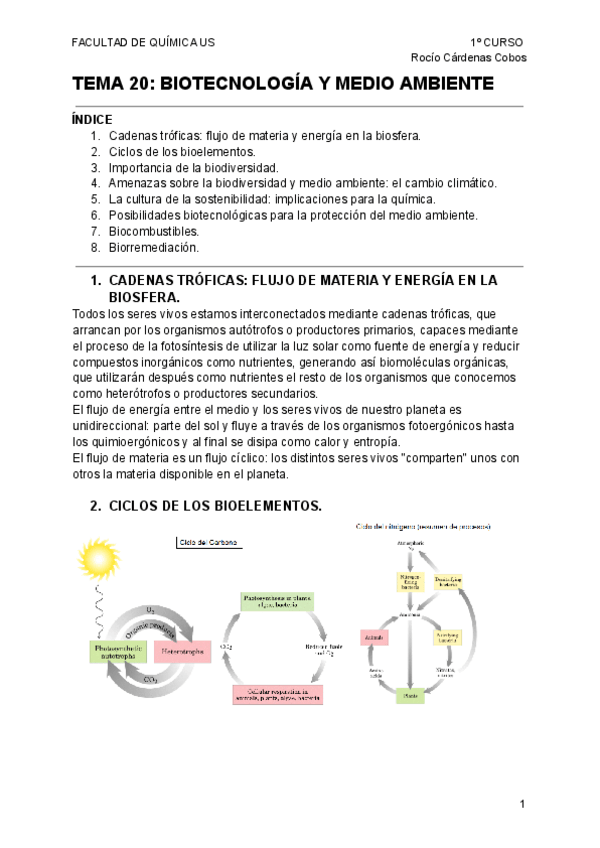 Miniatura del documento APUNTES-BIOLOGIA-TEMA-20-BIOTECNOLOGIA-Y-MEDIO-AMBIENTE.pdf