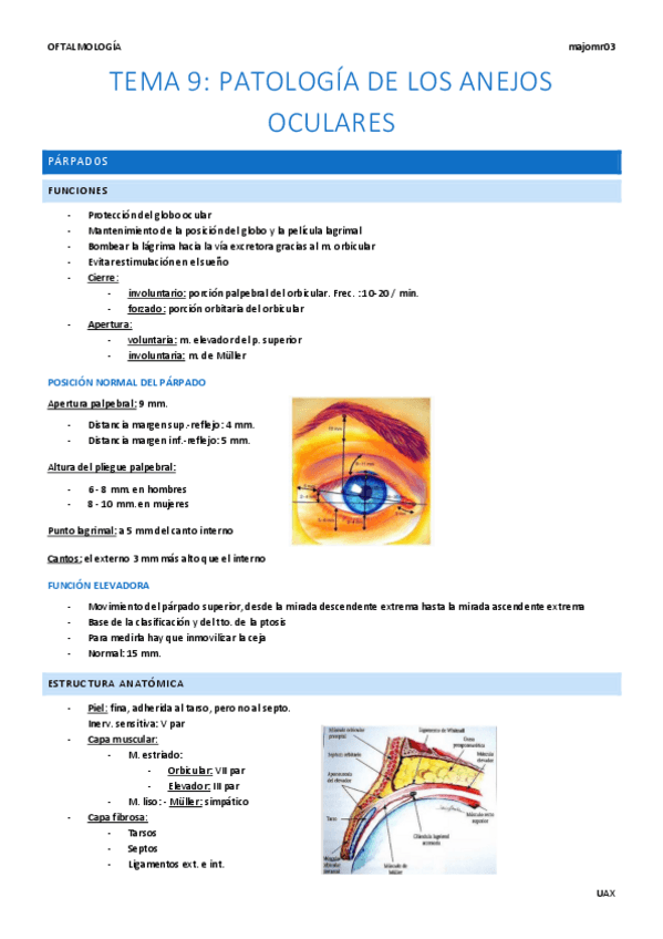 Miniatura del documento Tema-9-Patologia-de-los-anejos-oculares.pdf