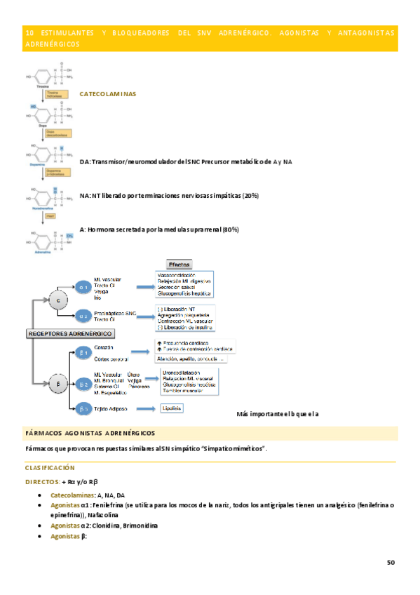 Miniatura del documento TEMA-10.pdf