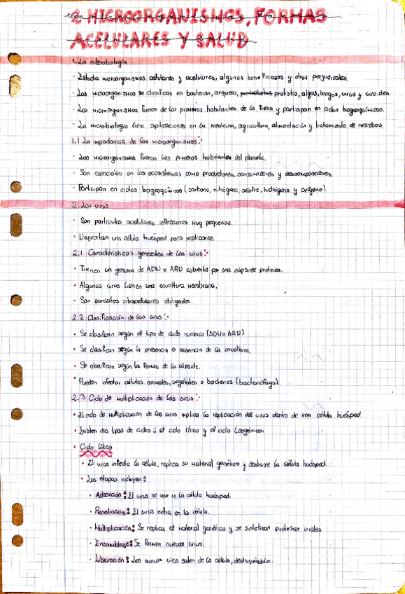 Miniatura del documento microorganismos-formas-acelulares-y-salud.pdf