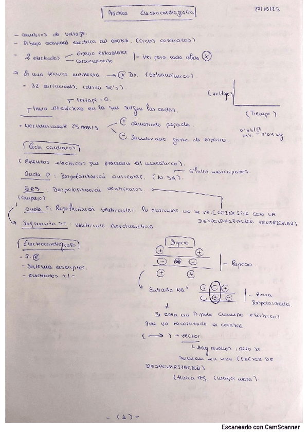Miniatura del documento Practica-Electrocardiograma.pdf