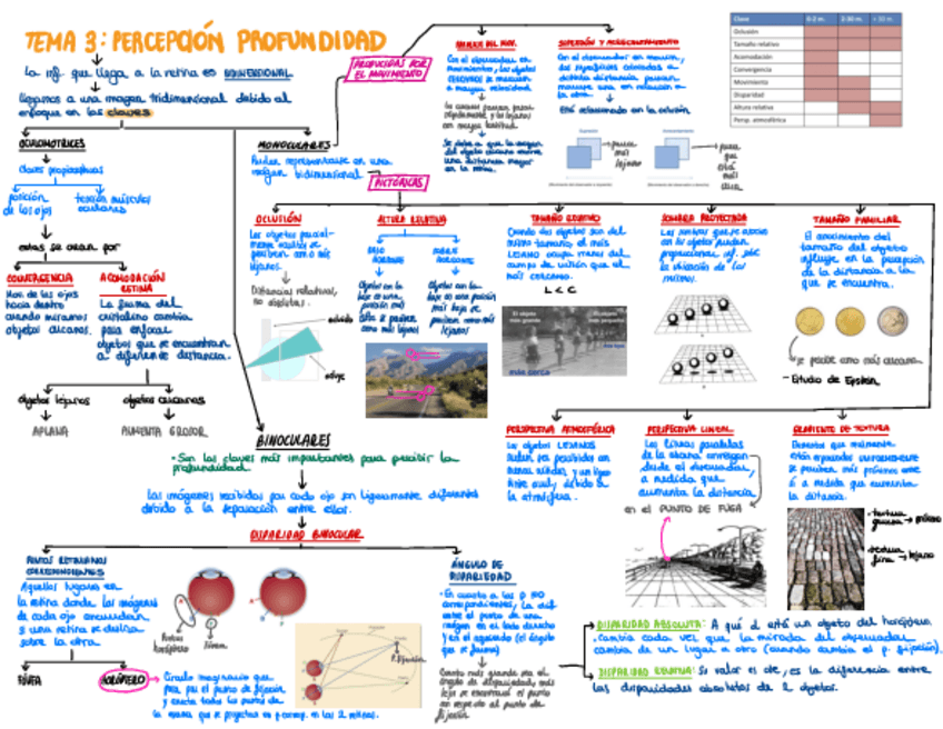 Miniatura del documento Percepcion-T3.pdf