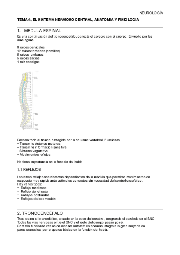 Miniatura del documento T6-NEUROLOGIA.pdf