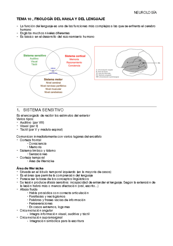 Miniatura del documento TEMA-10-NEURO.pdf