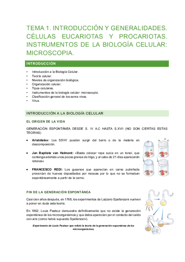 Miniatura del documento bloque-I.pdf