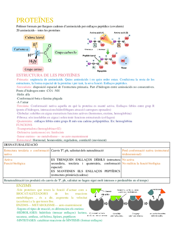 Miniatura del documento 2nd-parcial-1-bach.odt