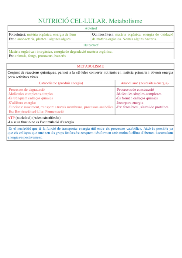 Miniatura del documento 3er-parcial-1-bach.odt