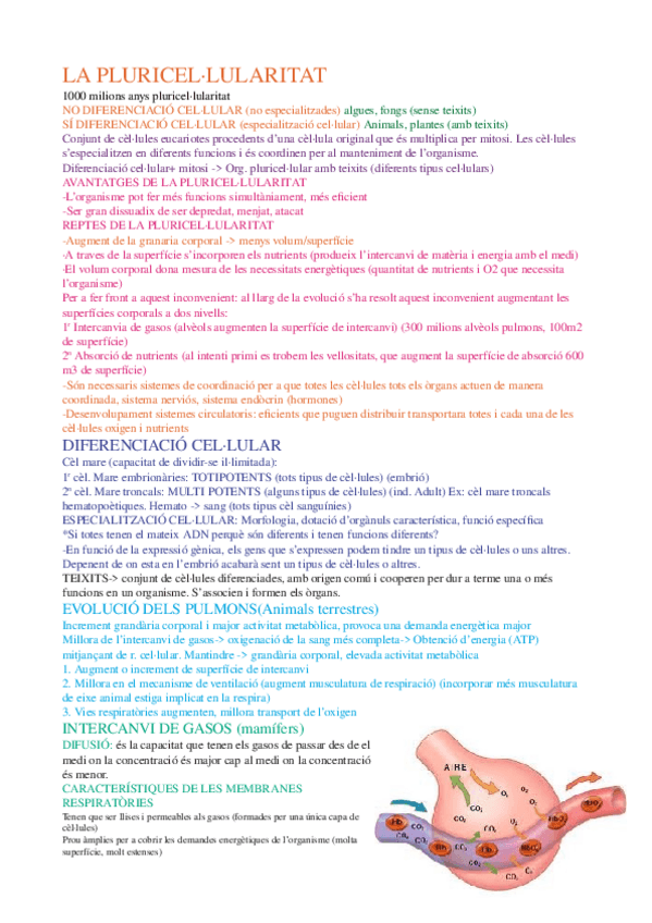 Miniatura del documento 4er-parcial-1-bach.odt