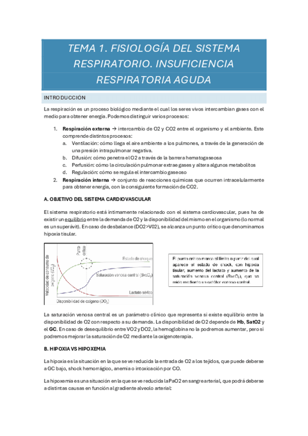 Miniatura del documento Respi-1o-parcial-completo.pdf