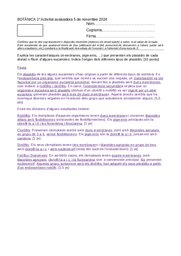 Miniatura del documento Exercici-avaluable-teoria-1r-semestre-2024-tardes.pdf