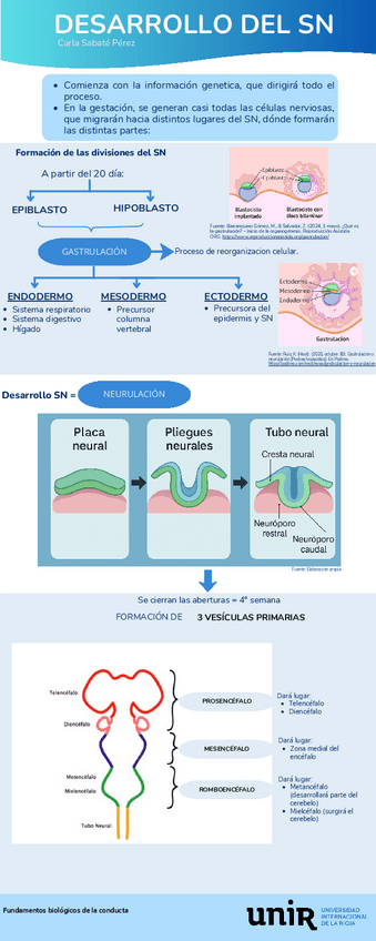Miniatura del documento Actividad-1.-Desarrollo-del-SN.pdf