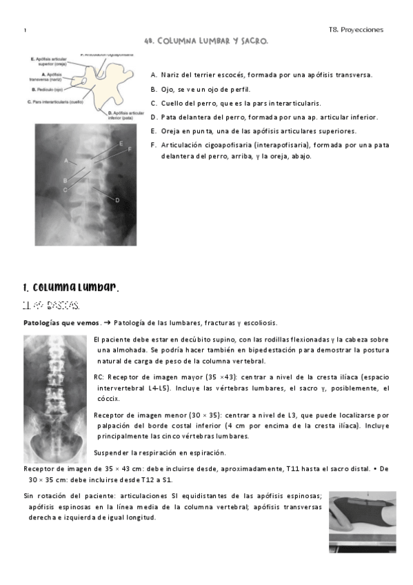 Miniatura del documento 8.-Rx-Simple-Columna-lumbar-y-sacro..pdf