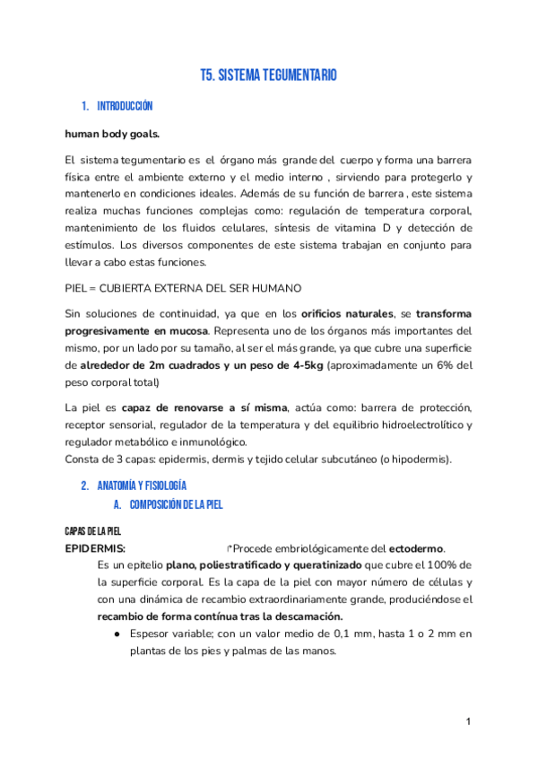 Miniatura del documento T5-ADULTO.pdf