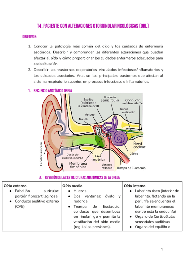 Miniatura del documento T4-ADULTO-2.pdf