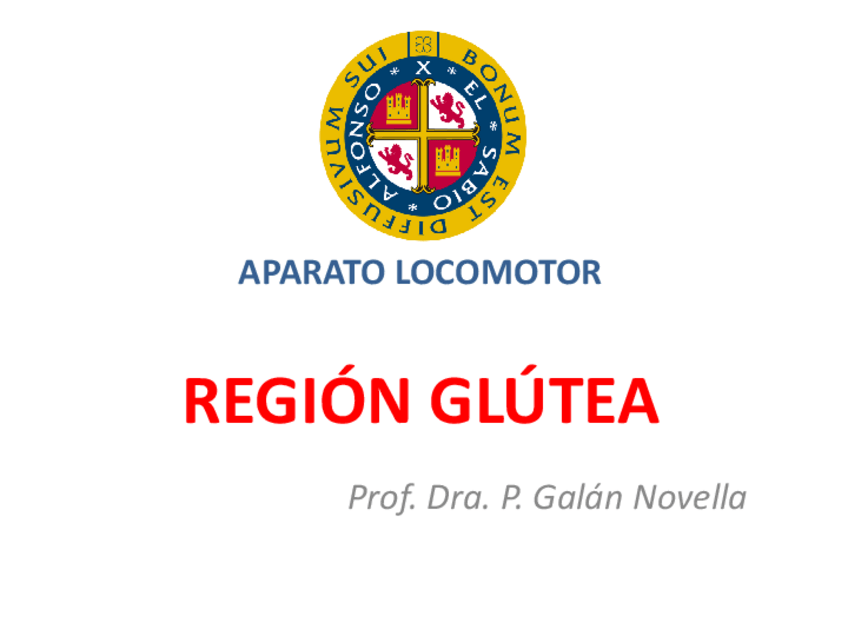 Miniatura del documento 1-region-glutea.pdf