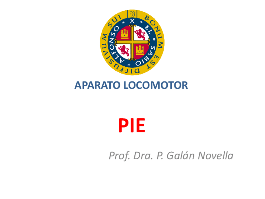 Miniatura del documento 4-pie.pdf