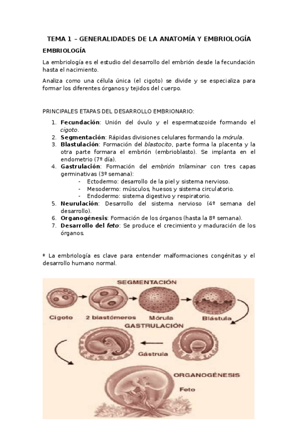 Miniatura del documento TEMA-1-Generalidades-de-anatomia-y-embriologia-Automatikoki-berreskuratua.docx