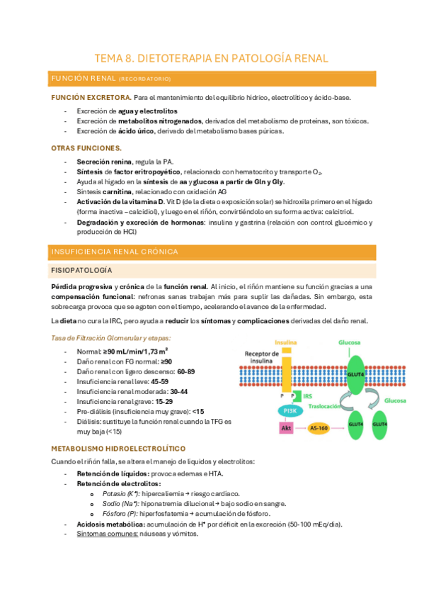 Miniatura del documento TEMA-8-dietoterapia.pdf