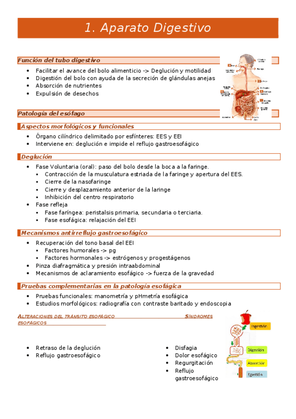 Miniatura del documento Fisio-1.1.docx