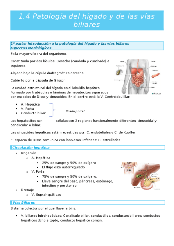 Miniatura del documento Fisio-1.4.docx
