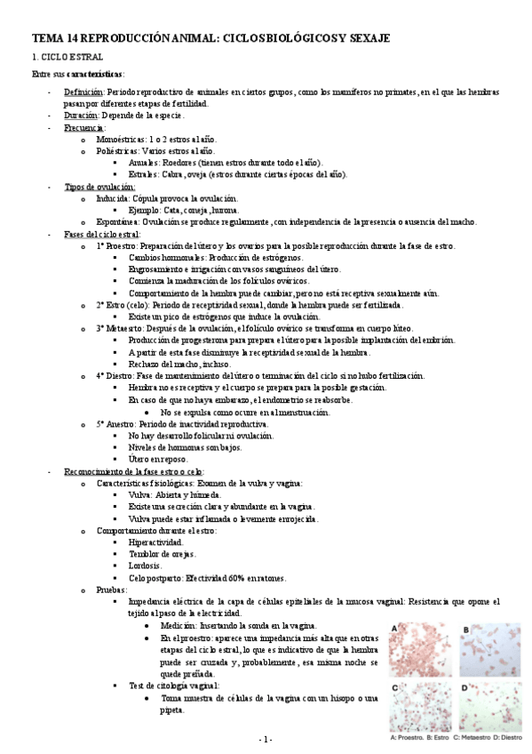 Miniatura del documento MODELOS-TEMA-14-REPRODUCCION-ANIMAL-CICLOS-BIOLOGICOS-Y-SEXAJE.pdf