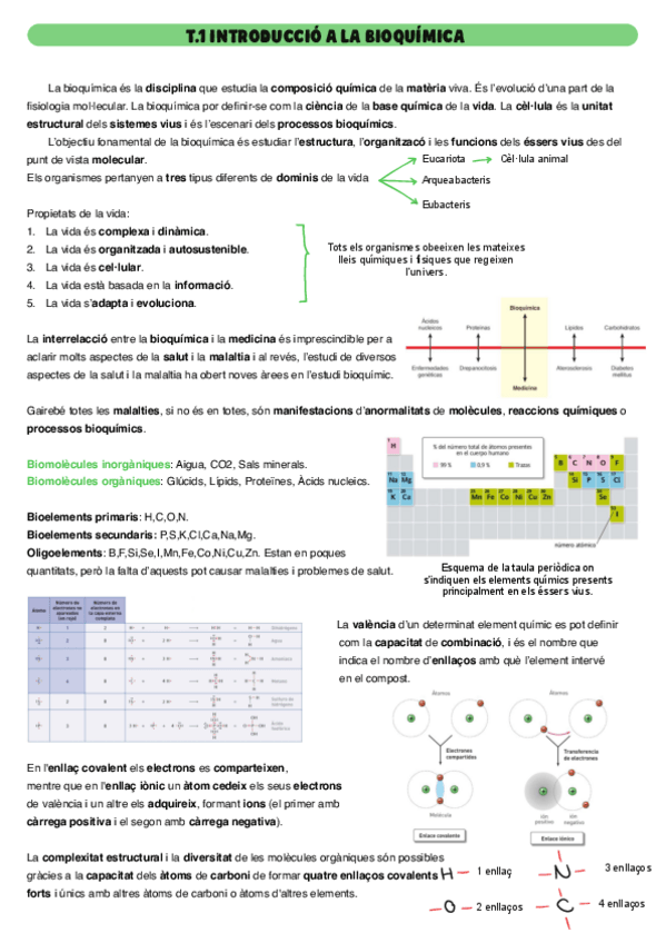 Miniatura del documento Apuntes-Bioquimica-T.1.pdf