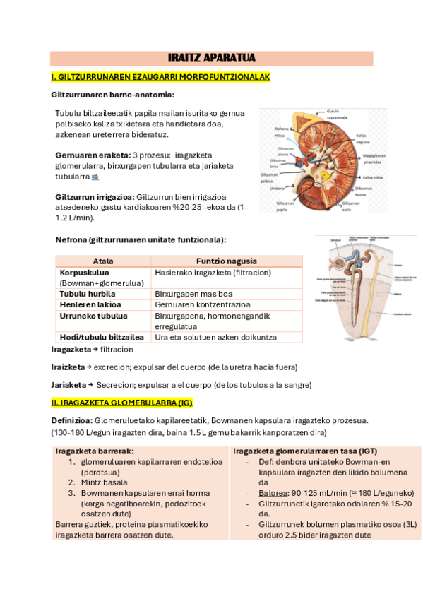 Miniatura del documento 8-IRAITZ-APARATUA.pdf