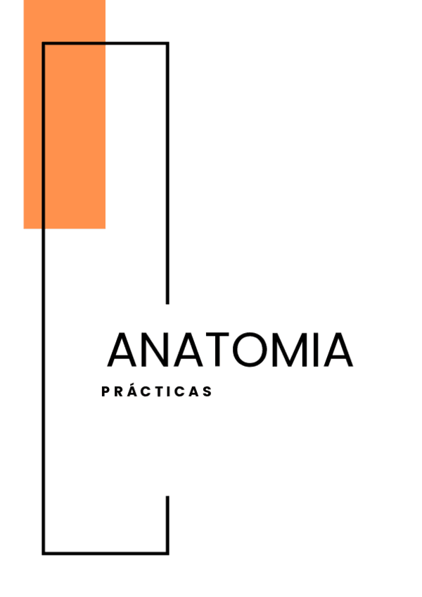 Miniatura del documento EXAMEN-PRACTICO-ANATOMIA.pdf