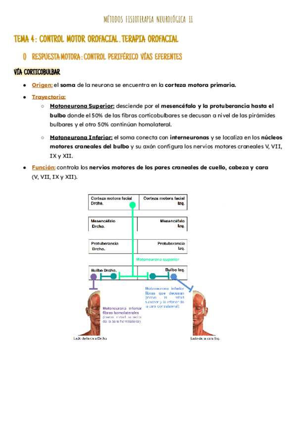 Miniatura del documento T4-Terapia-Orofacial.pdf