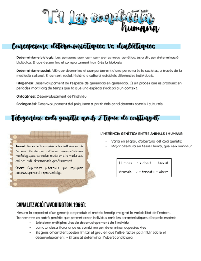 Miniatura del documento T1.-Conducta-humana.pdf