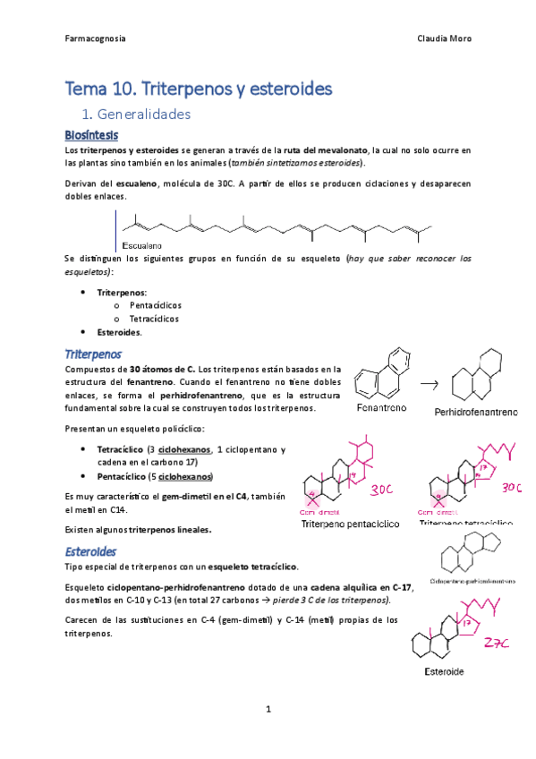 Miniatura del documento Tema-10.pdf