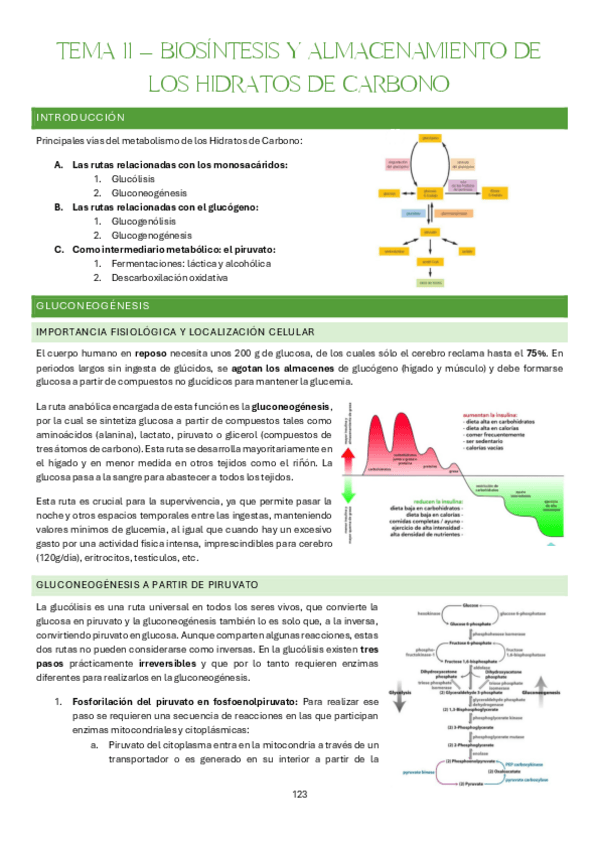 Miniatura del documento Tema-11-Bases-Organicas-e-Inorganicas-de-la-Vida.pdf