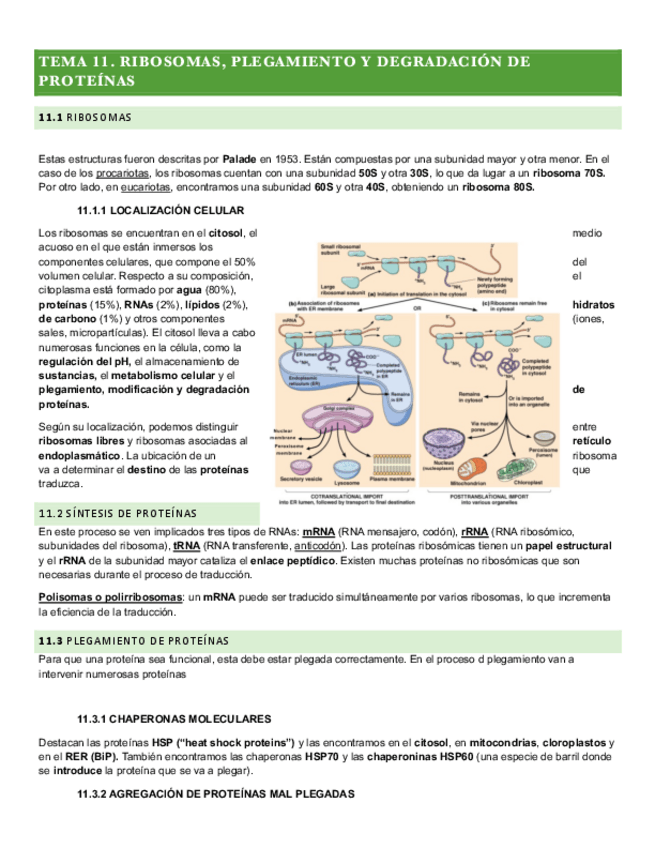 Miniatura del documento Temas 11-14.pdf