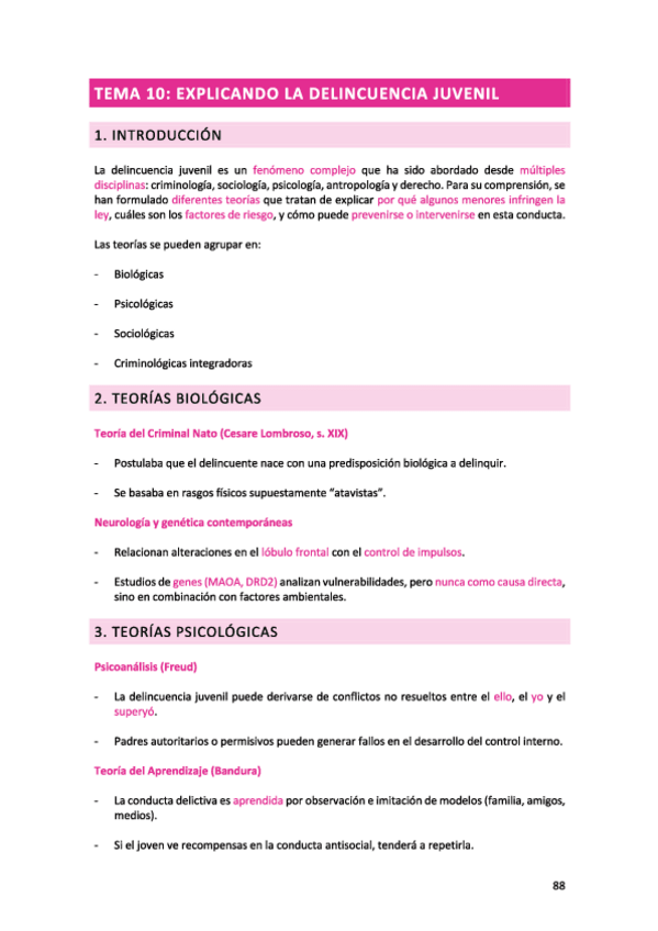 Miniatura del documento TEMA-10-Delincuencia-juvenil.pdf