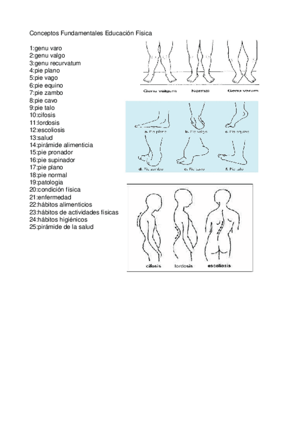 Miniatura del documento conceptos fundamentales EducaciónFísica Wuolah.odt