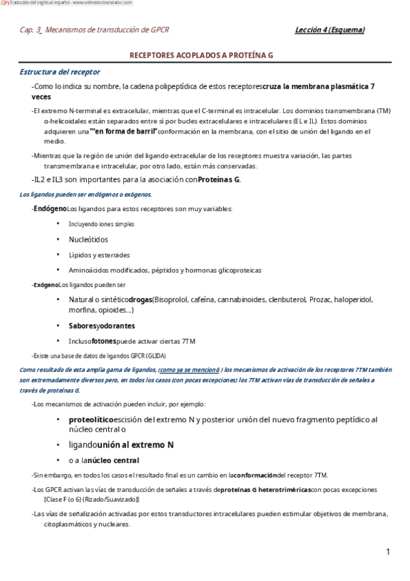 Miniatura del documento T4-Esther-espanol.pdf