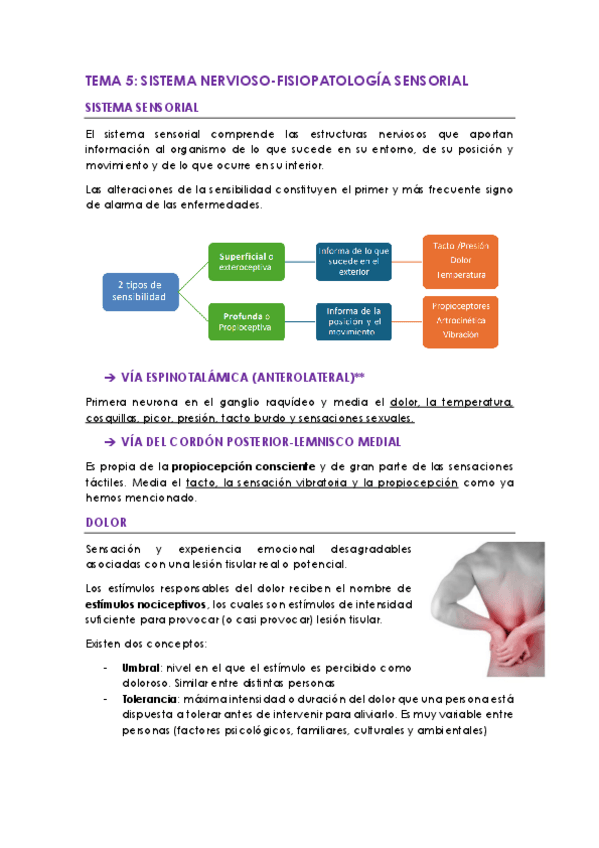 Miniatura del documento TEMA-5.pdf