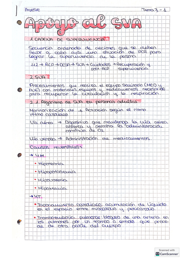 Miniatura del documento APOYO-AL-SVA.pdf
