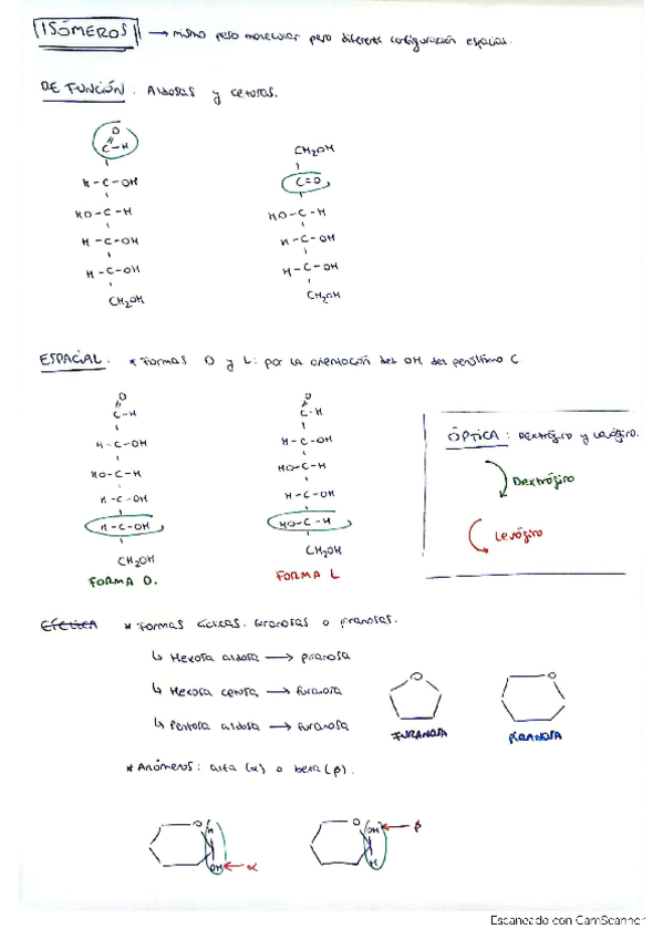 Miniatura del documento Isomeria-en-los-Glucidos-1o-y-2o-Bach.pdf
