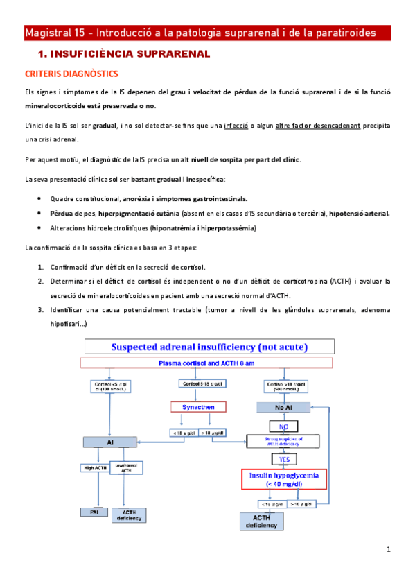 Miniatura del documento Magistral-15-Introduccio-a-la-patologia-suprarenal-i-de-la-paratiroides.pdf