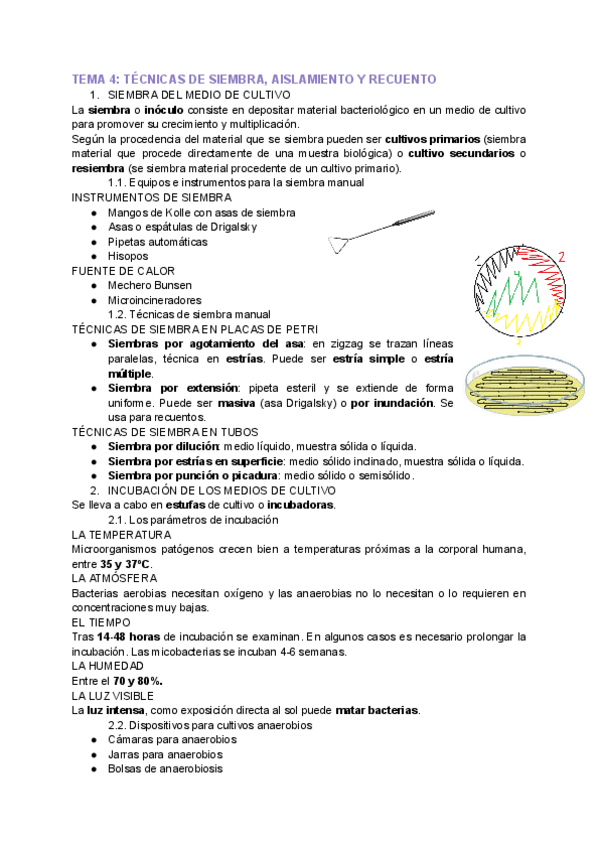 Miniatura del documento apuntes-micro-tema-4.pdf