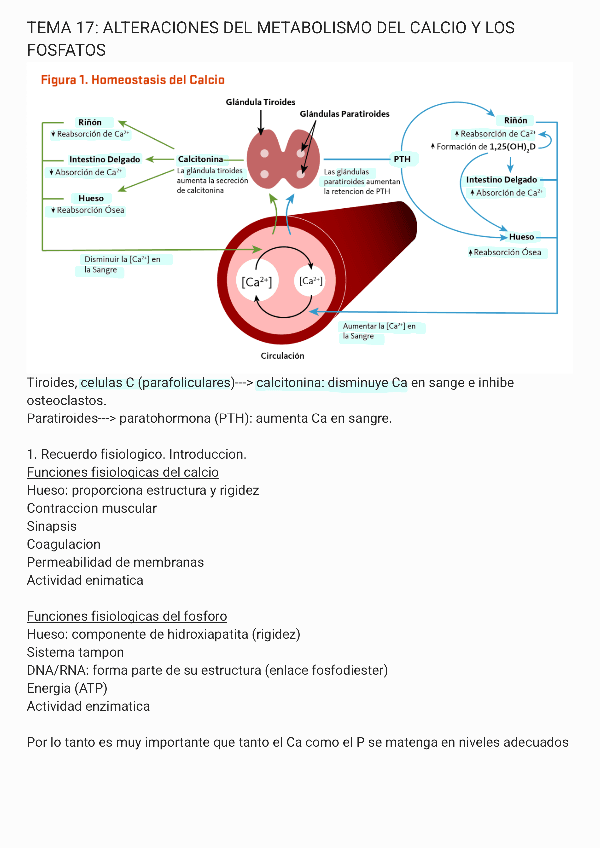 Miniatura del documento Tema-17-FP.pdf