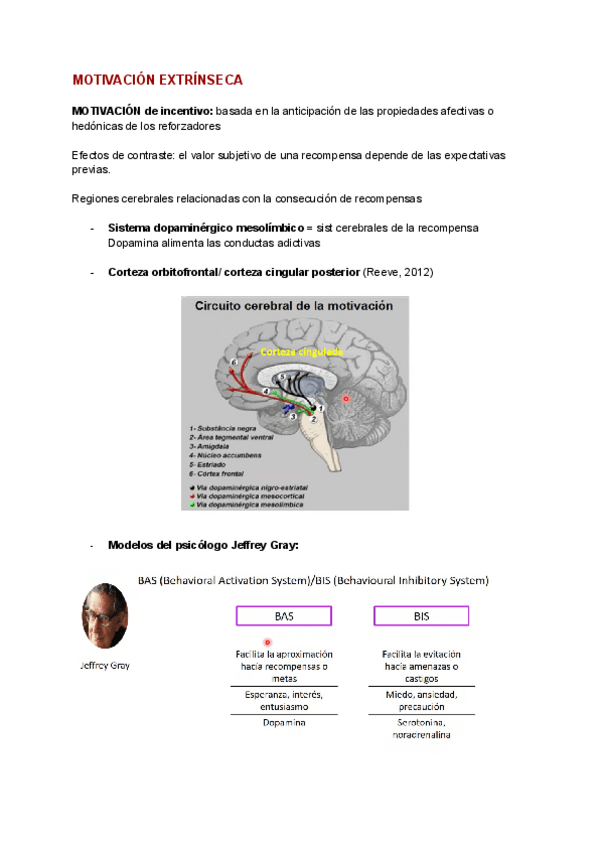 Miniatura del documento Clase-online-MOTIVACION-EXTRINSECA.pdf